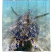 Rideaux De Douche Tortues hawaïennes (Devant)