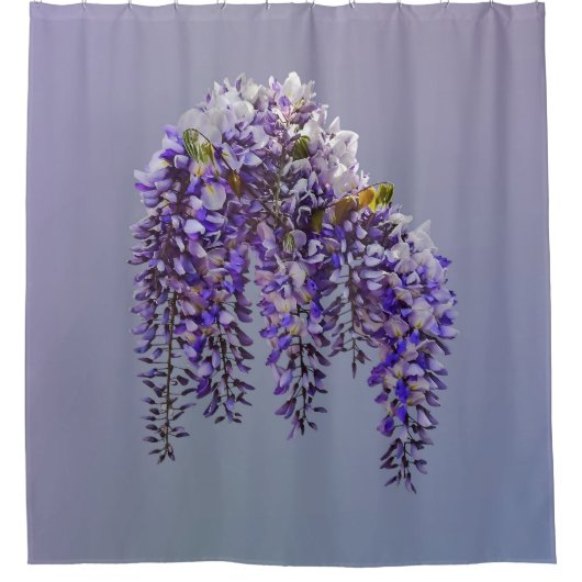 Rideaux De Douche Touffe de Glycine (Devant)