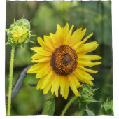 Rideaux De Douche Tournesol (Devant)