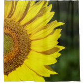 Rideaux De Douche Tournesol (Devant)