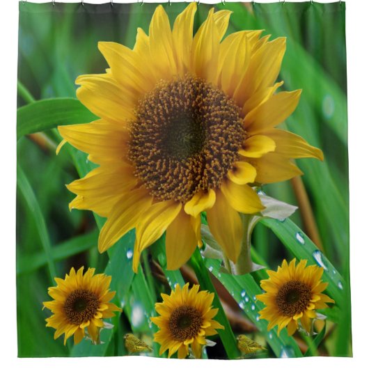 Rideaux De Douche Tournesol Douche rideaux (Devant)