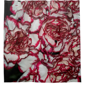 Rideaux De Douche Très belle carnation colorée gros plan
