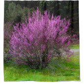 Rideaux De Douche Trinity County Red Bud tree..... (Devant)
