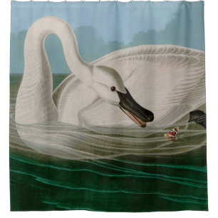 Rideaux De Douche Trumpeter Swan Birds of America Audubon Print