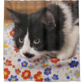 Rideaux De Douche Tuxedo (Devant)