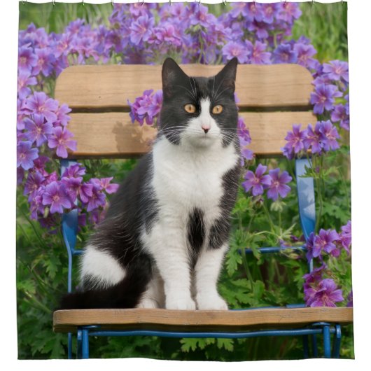 Rideaux De Douche Tuxedo cat sitting on a garchair with flowers (Devant)