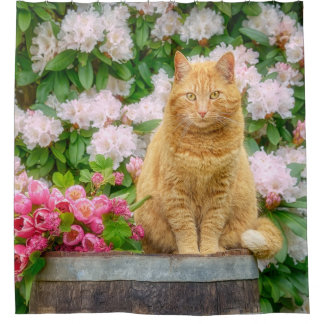 Rideaux De Douche Un chat orange dans un jardin aux fleurs de printe