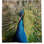 Rideaux De Douche Un paon caché (Devant)