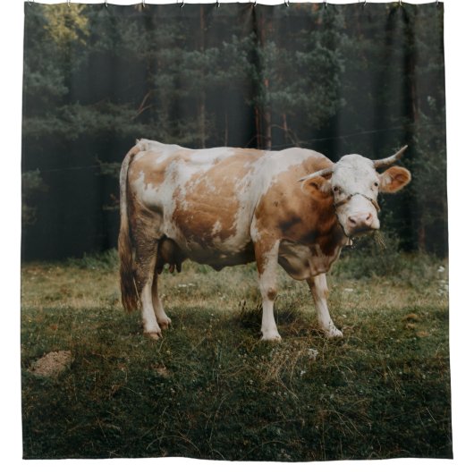 Rideaux De Douche VACHE CHAINÉE Brown ET BLANCHE (Devant)