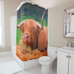 Rideaux De Douche Vache écossaise des Highlands