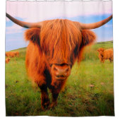 Rideaux De Douche Vache écossaise des Highlands (Devant)