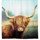 Rideaux De Douche Vache écossaise des Highlands (Devant)