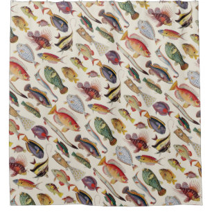 Rideaux De Douche Variétés de poissons