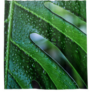 Rideaux De Douche Vert feuille plante Monstera