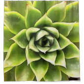 Rideaux De Douche Vert Succulent Gros Plan Cactus (Devant)