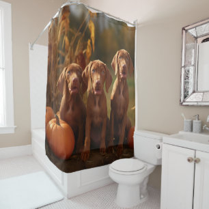 Rideaux De Douche Vizsla Chiot Automne Citrouille délice