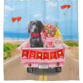 Rideaux De Douche Weimaraner Chien Valentine's Day Truck (Devant)