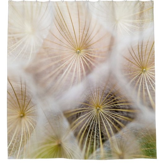 Rideaux De Douche White dandelion flowers (Devant)