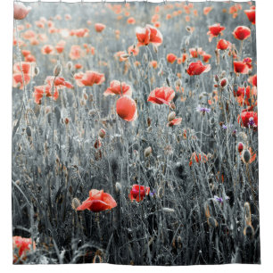 Rideaux De Douche Wildflowers poppies