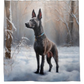 Rideaux De Douche Xoloitzcuintli Qu'il neige Noël (Devant)