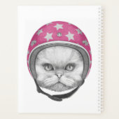 Rider en moto chats perse (Dos)
