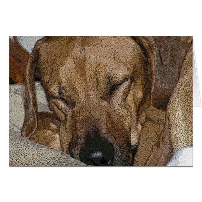 Ridgeback (Voorkant Horizontaal)