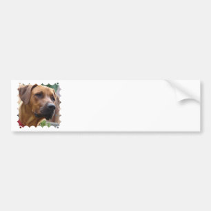 Ridgeback Bumpersticker Rhodesian