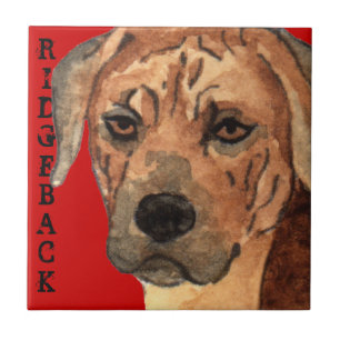 Ridgeback Color Block Tegeltje