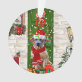 Ridgeback Dog Kerstmis Rhodezesisch Ornament (voorkant)