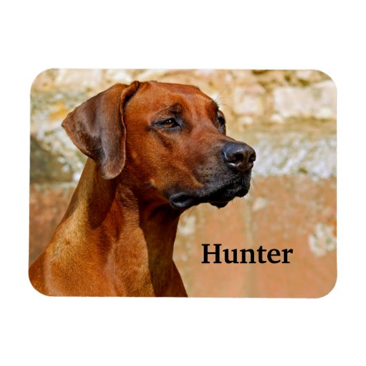 Ridgeback Dog Magneet (Horizontaal)