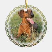 Ridgeback Dog Ornament (Voorkant)