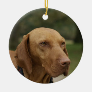 Ridgeback Dog Ornament