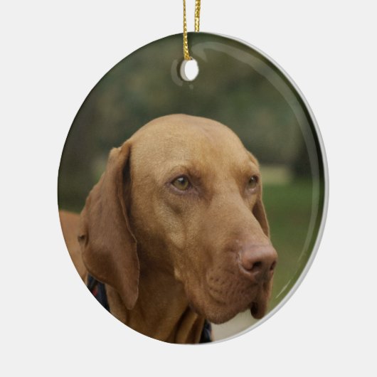 Ridgeback Dog Ornament (Links)