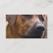 Ridgeback Dog Visitekaartje Rhodezisch (Achterkant)
