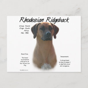 Ridgeback History-ontwerp voor Rhodezische Ridgeba Briefkaart