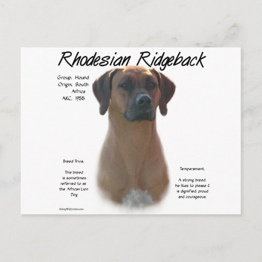 Ridgeback History-ontwerp voor Rhodezische Ridgeba Briefkaart (Voorkant)