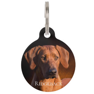 Ridgeback Huisdierpenning
