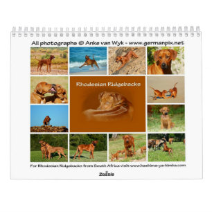 Ridgeback-kalender voor Rhodezische Ridgeback Kalender