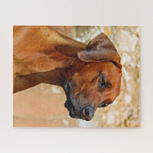 Ridgeback Legpuzzel (Horizontaal)