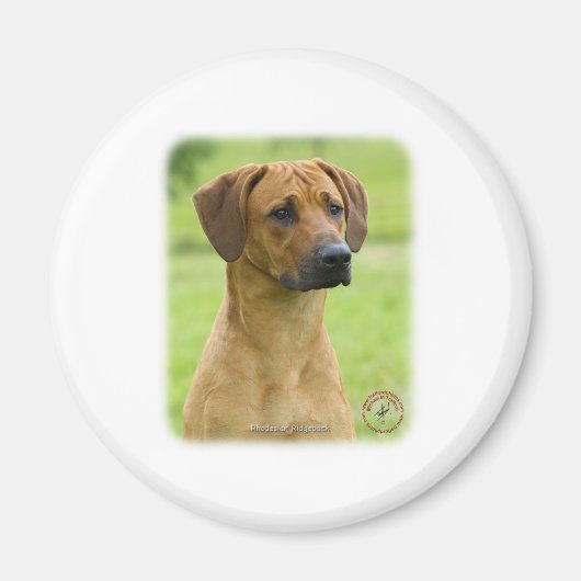Ridgeback Magneet (Voorkant)