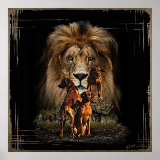 Ridgeback met Lion Poster (Voorkant)