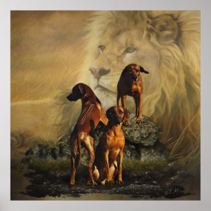 Ridgeback met Rhodezisch Ridgeback met Lion Poster