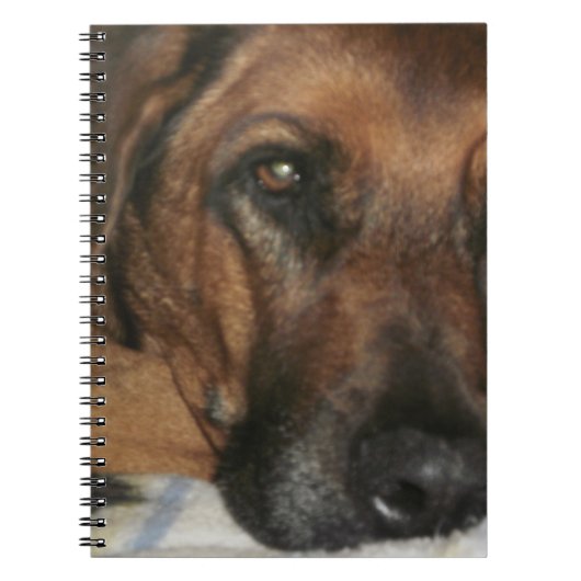 Ridgeback Notitieboek (Voorkant)