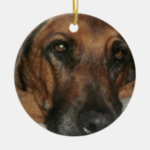 Ridgeback Ornament
