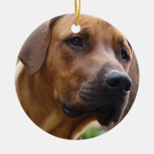 Ridgeback Ornament
