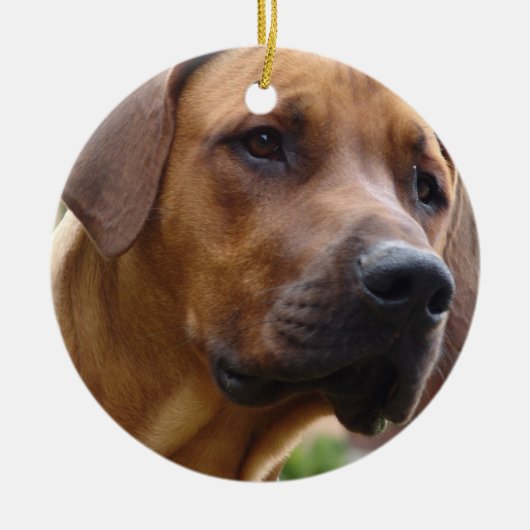 Ridgeback Ornament (Voorkant)