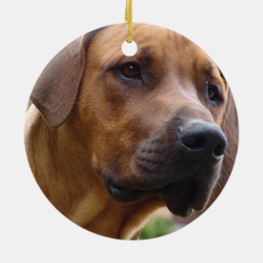 Ridgeback Ornament (Achterkant)