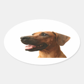Ridgeback Ovale Sticker