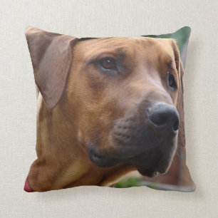 Ridgeback Pillow Kussen