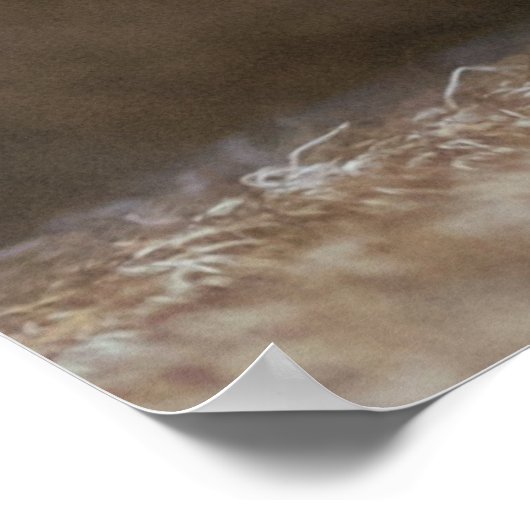 Ridgeback Poster (Hoek)